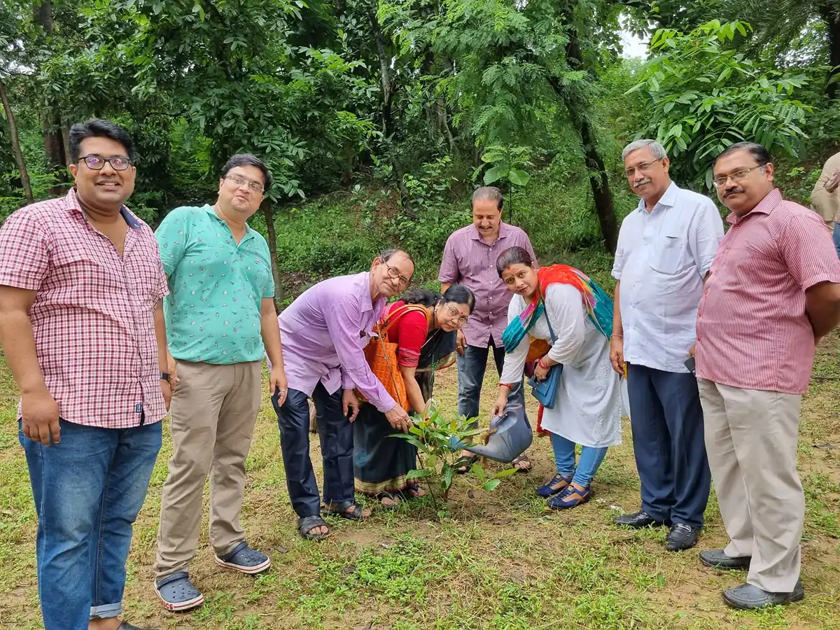Tree Plantation 2023